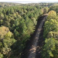Carver Point Timber Tract in Grenada Co at Grenada Lake images 5