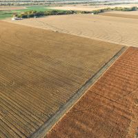 Else Farm Parcel 1