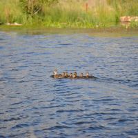 Yampa Headwaters Ranch images 2
