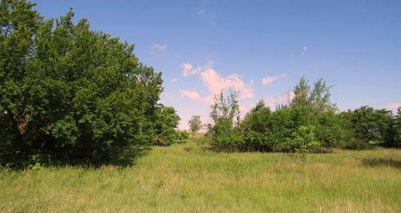 7 19 150 Acres Grassland Pond Income Recreation featured image