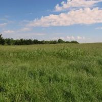 7 19 150 Acres Grassland Pond Income Recreation images 2