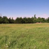 7 19 150 Acres Grassland Pond Income Recreation images 3