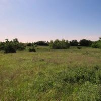 7 19 150 Acres Grassland Pond Income Recreation images 5