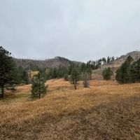 Laurence Creek Hideaway images 2