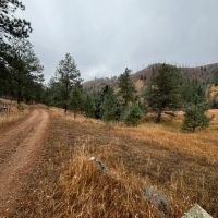 Laurence Creek Hideaway images 3