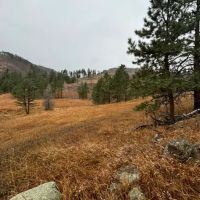 Laurence Creek Hideaway images 4