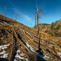 Laurence Creek Hideaway images 5