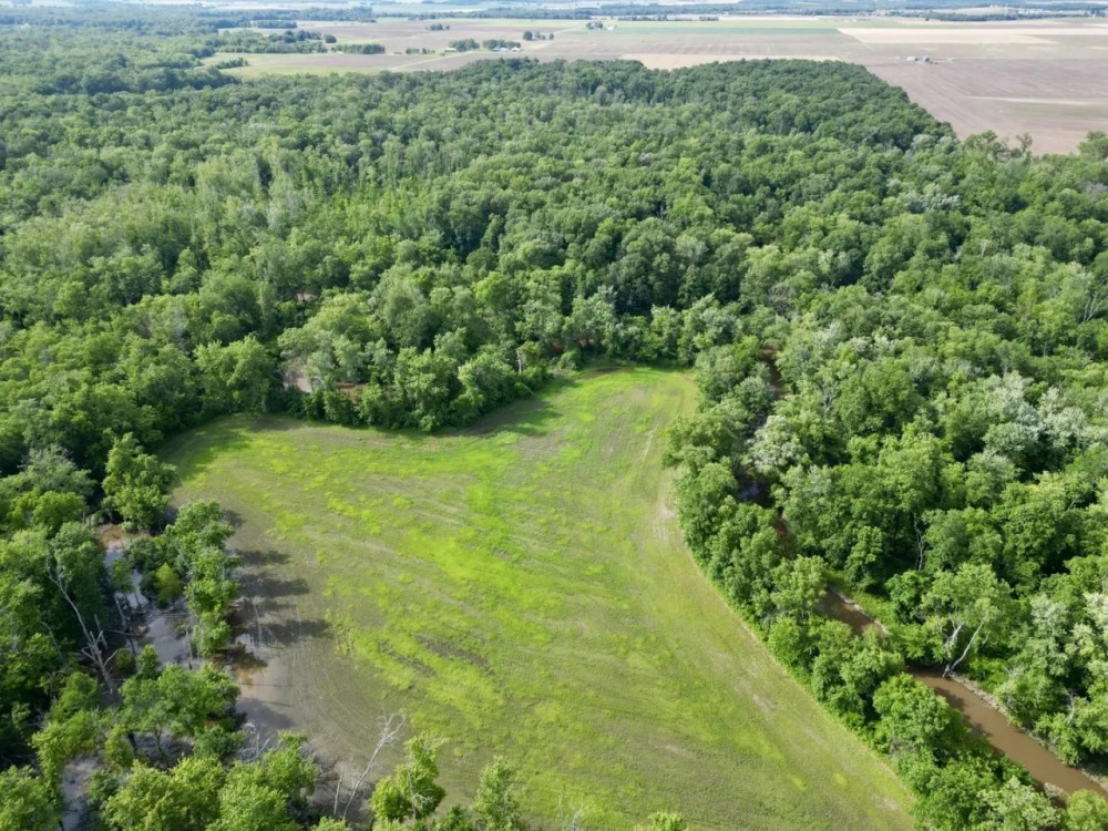 This farm sits in both Clinton and Washington County featured image