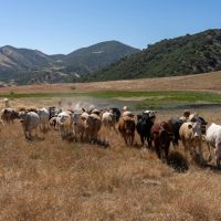 Powderhorn Ranch images 3