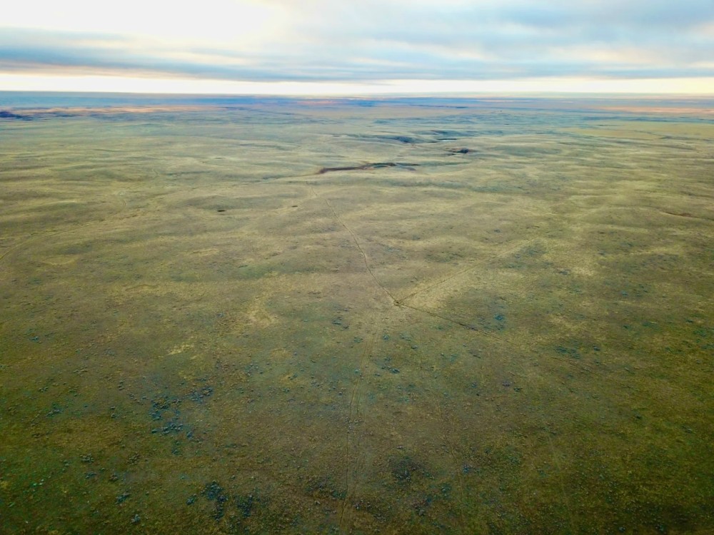 Turkey Track Ranch North Parcel featured image