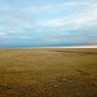 Turkey Track Ranch North Parcel images 5