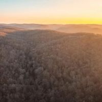 House Springs Hollow images 3