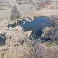 5 18 Auction 320 Acres Offered in 2 Tracts images 5