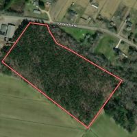 14.74 Acres of Timber land for Sale in Pasquotank County NC