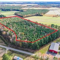 14.74 Acres of Timber land for Sale in Pasquotank County NC images 2