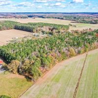 14.74 Acres of Timber land for Sale in Pasquotank County NC images 3