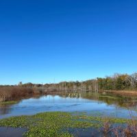 313.72 Acres in Bolivar County MS