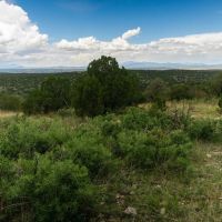 Historic Coe Ranch images 4