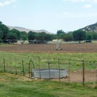 Historic Coe Ranch images 5