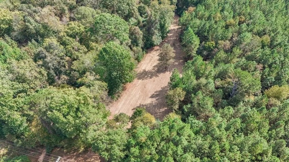 Turnkey Land for Sale in Franklin County MS featured image