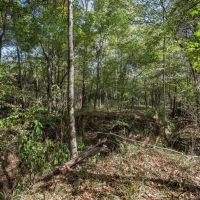 Turnkey Land for Sale in Franklin County MS images 5