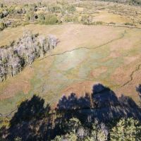 FIVE POINTS RANCH images 2