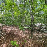 2.2 acre Building Lot near State Land in Denning NY Red Hill Knolls Rd images 3