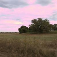 RECREATIONAL PASTURE TILLABLE LAND AUCTION 612 ACRES - PAWNEE COUNTY KS images 3