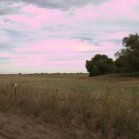 RECREATIONAL PASTURE TILLABLE LAND AUCTION 612 ACRES - PAWNEE COUNTY KS images 4