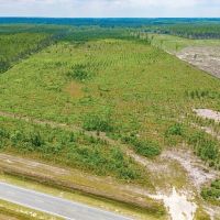 59-Acre Hunting and Timberland Tract on East River Road images 4