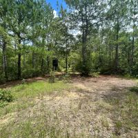 11 Acres in Wayne County MS