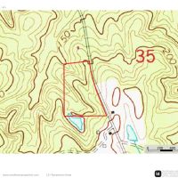 11 Acres in Wayne County MS images 3