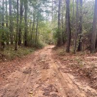 100 Acres in Amite County MS images 3