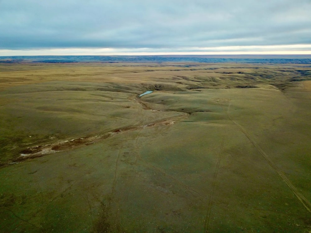 Milk River Valley Ranch featured image