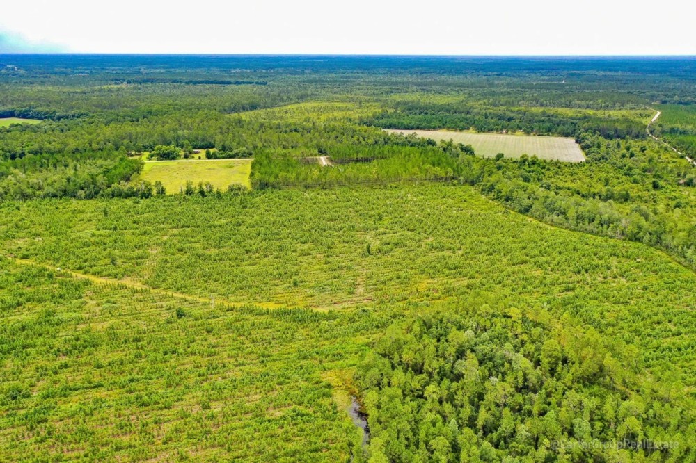 58 Acres of Country Living featured image