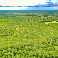 58 Acres of Country Living images 5