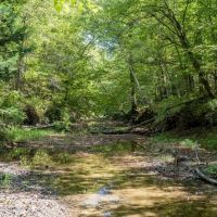 35 Acres For Sale Starkville MS images 3