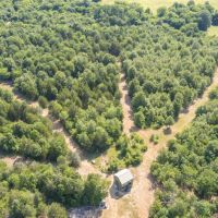 Hunting land in Hopkins County TX images 2