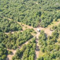 Hunting land in Hopkins County TX images 3