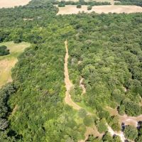 Hunting land in Hopkins County TX images 4