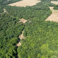 Hunting land in Hopkins County TX images 5