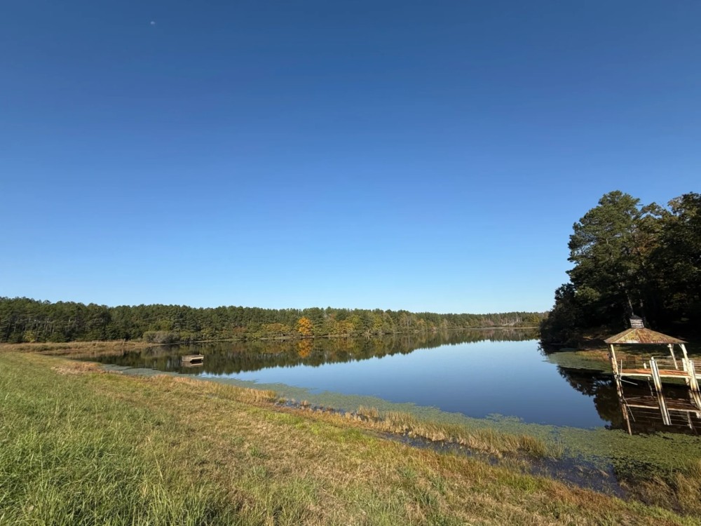 1 278.95 Acres in Lafayette Yalobusha Counties MS featured image