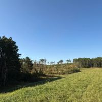 1 278.95 Acres in Lafayette Yalobusha Counties MS images 3