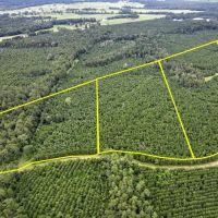 11 Acres T-45 Eliot images 2