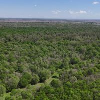 Equity share Cabin at Beulah Island Hunting Club in Desha County AR images 2