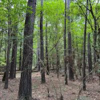 180 Acres County Line Road