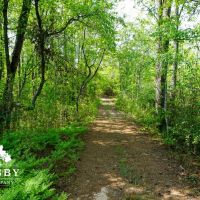 Camp Josey images 3
