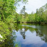 Camp Josey images 5