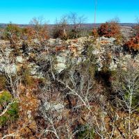 The Greenwood 33 images 2