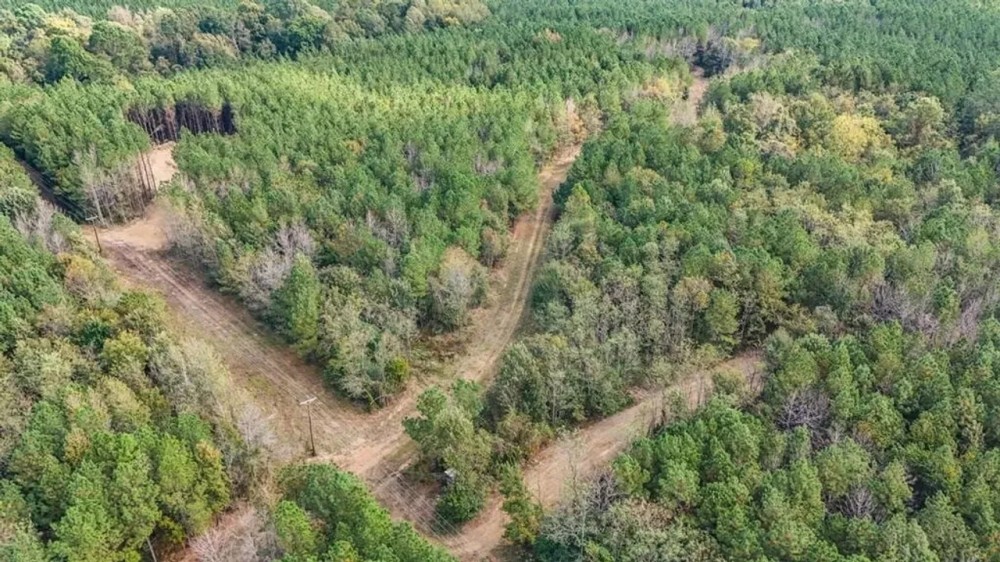 Hardwood Pine Hunting Land in Franklin County MS featured image